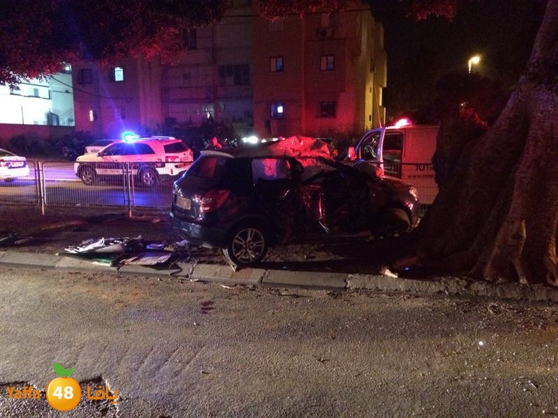 tree hit lud 0405 (2).jpg